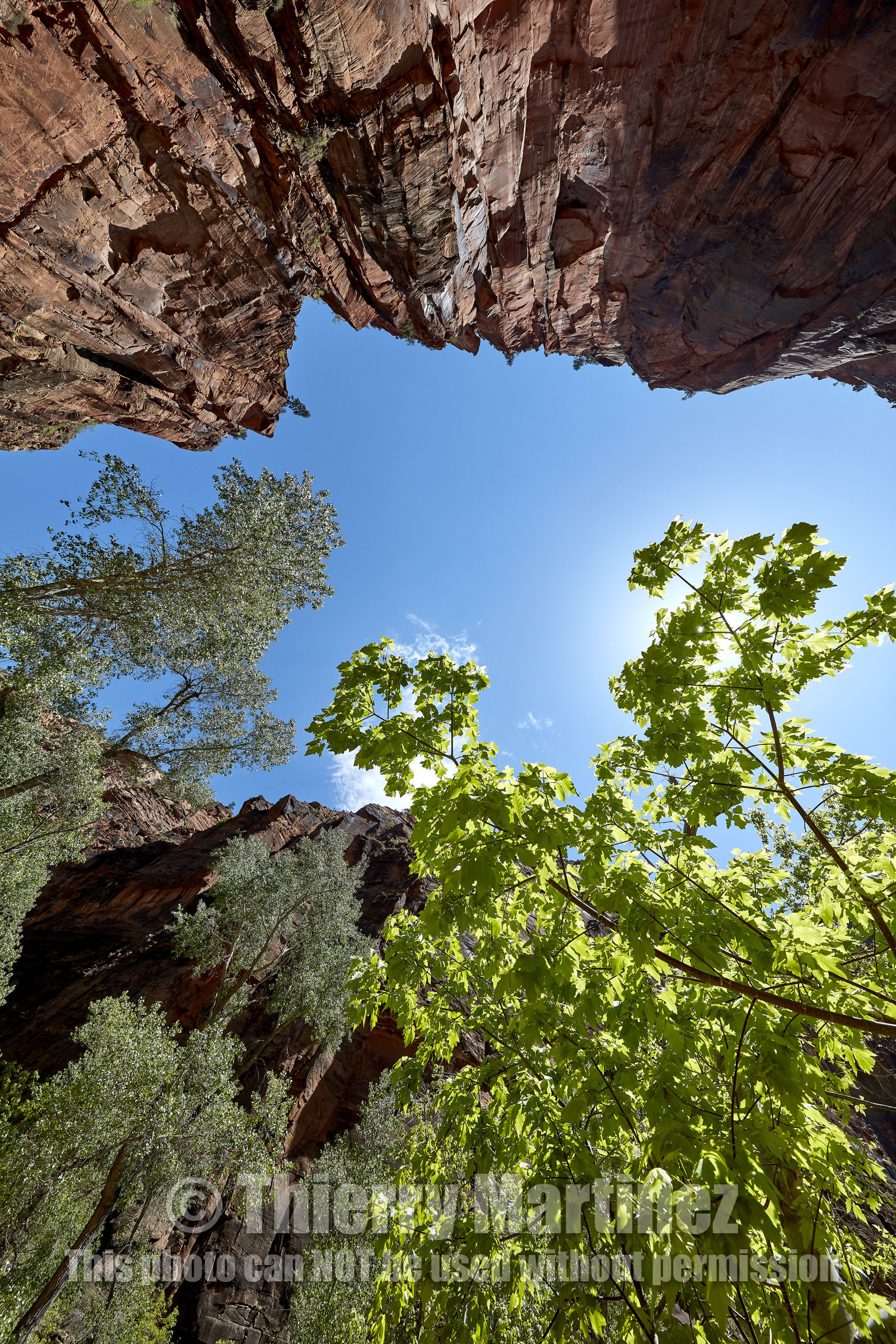 THM-18_052441-ZION Canyon