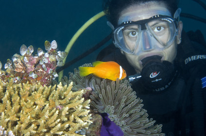 Diving In Maldives Feb March 2007.