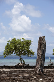 15_023968  ©ThMartinez Sea&Co.  RAIATEA - ILES SOUS LE VENT. POLYNESIE FRANCAISE .  2 Février 2015. ..