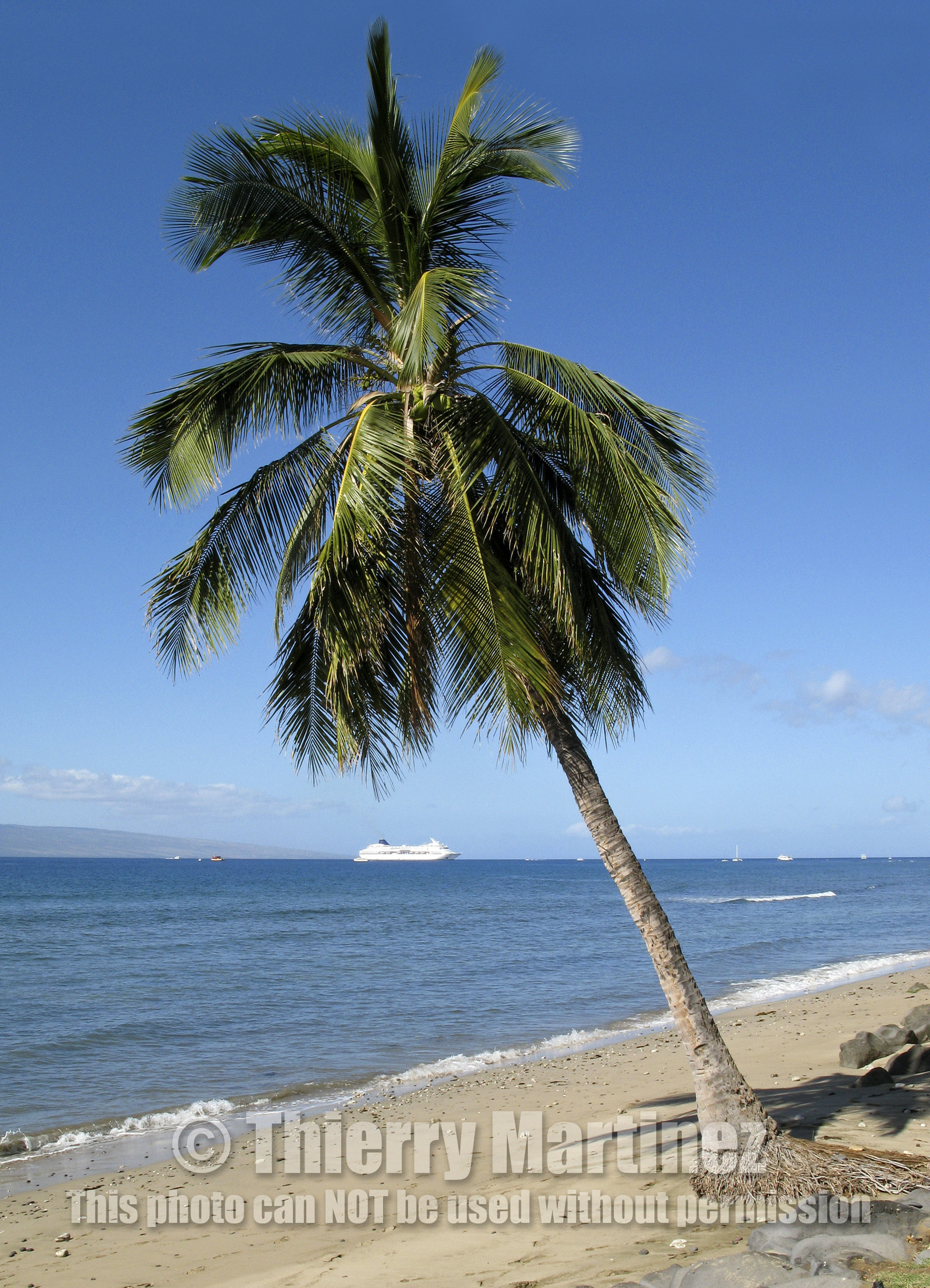Diving in Maui HAWAII - USA . Jan 2007.