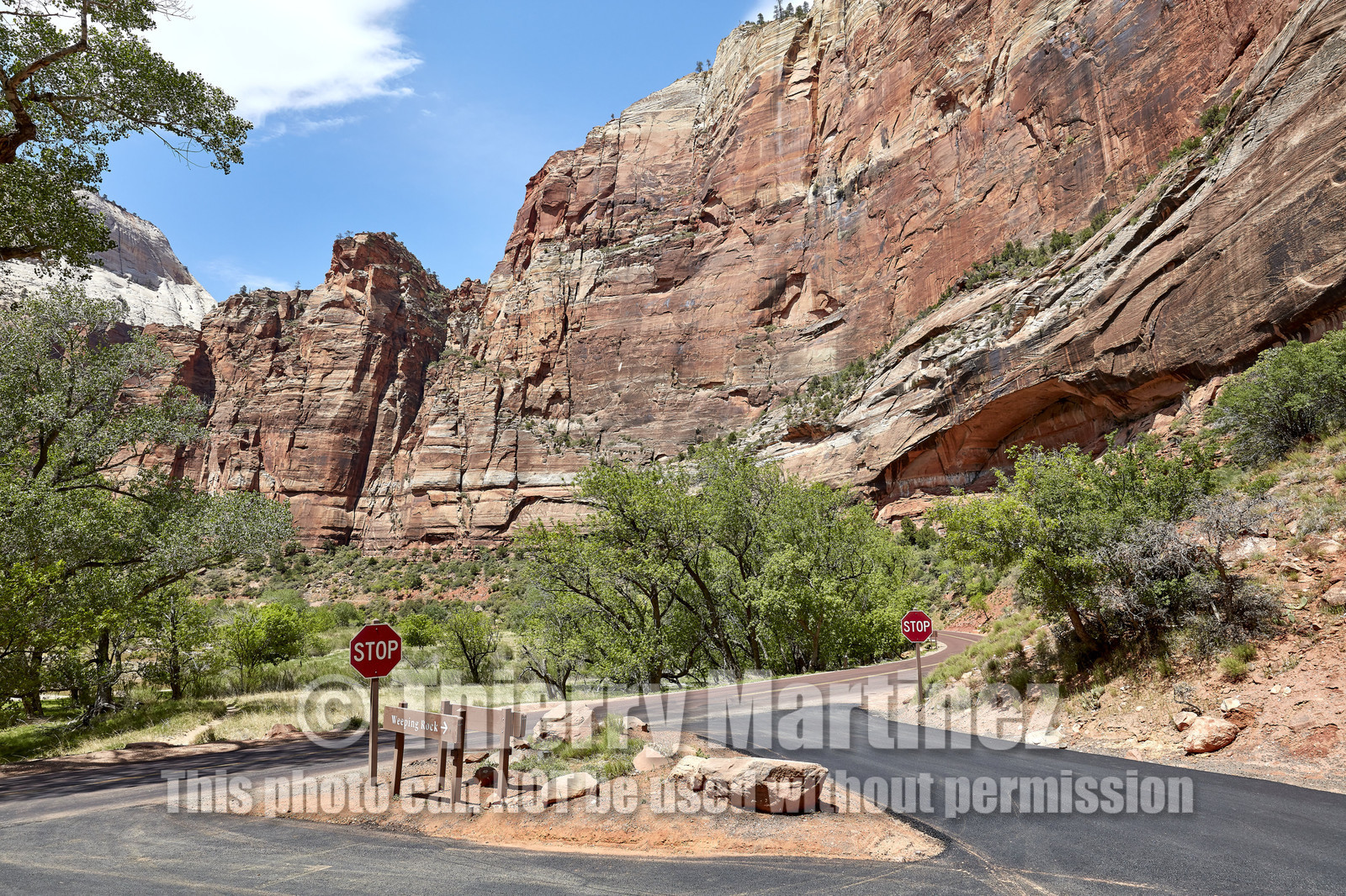 THM-18_052480-ZION Canyon