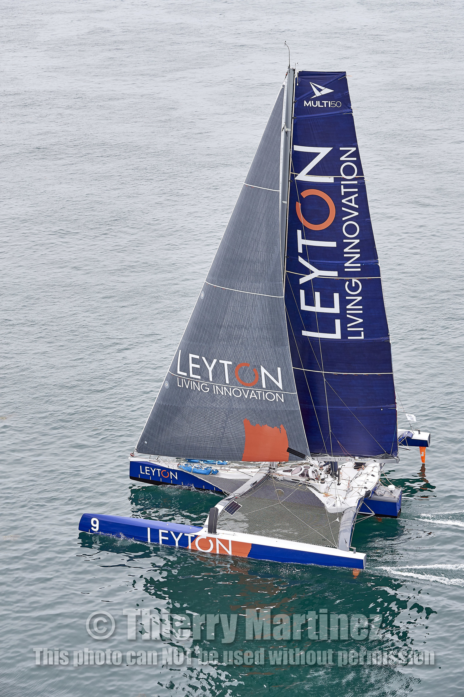 THM-20_09855_DRHEAM CUP