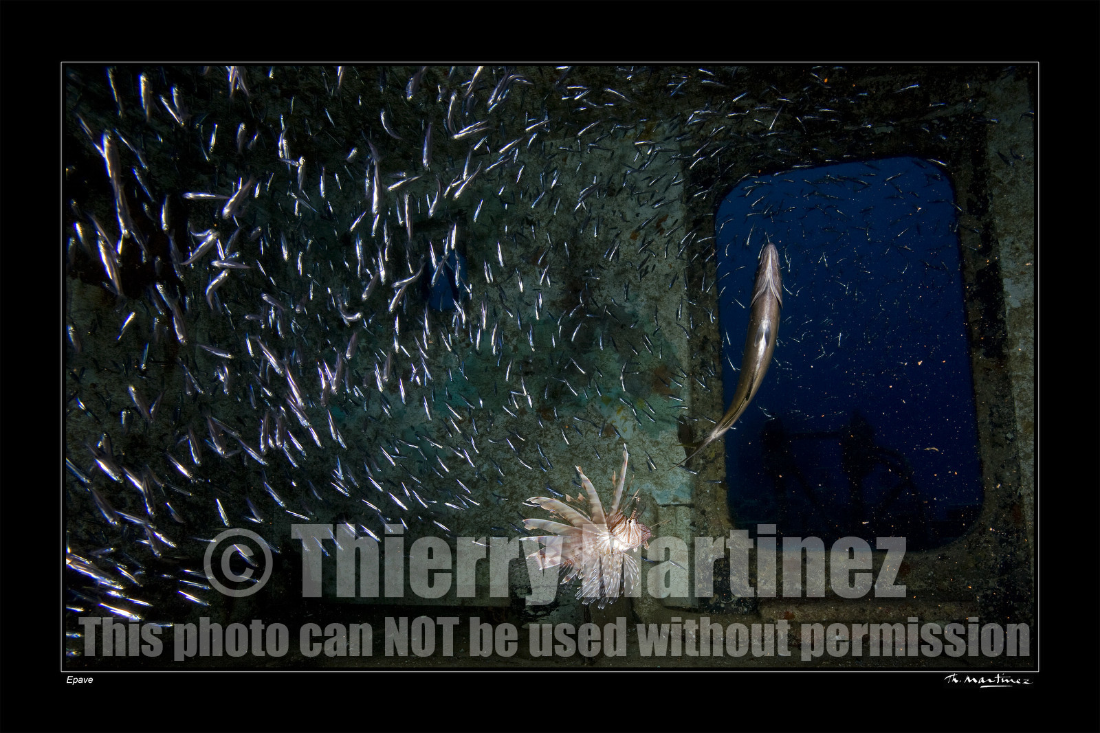 08_00965_ epave fond noir-.jpg