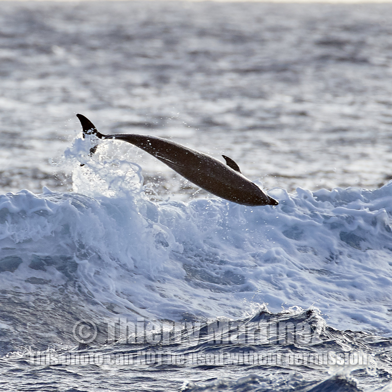 THM-18_039017_RANGIROA