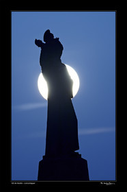 15_29572 - fond noir-.jpg