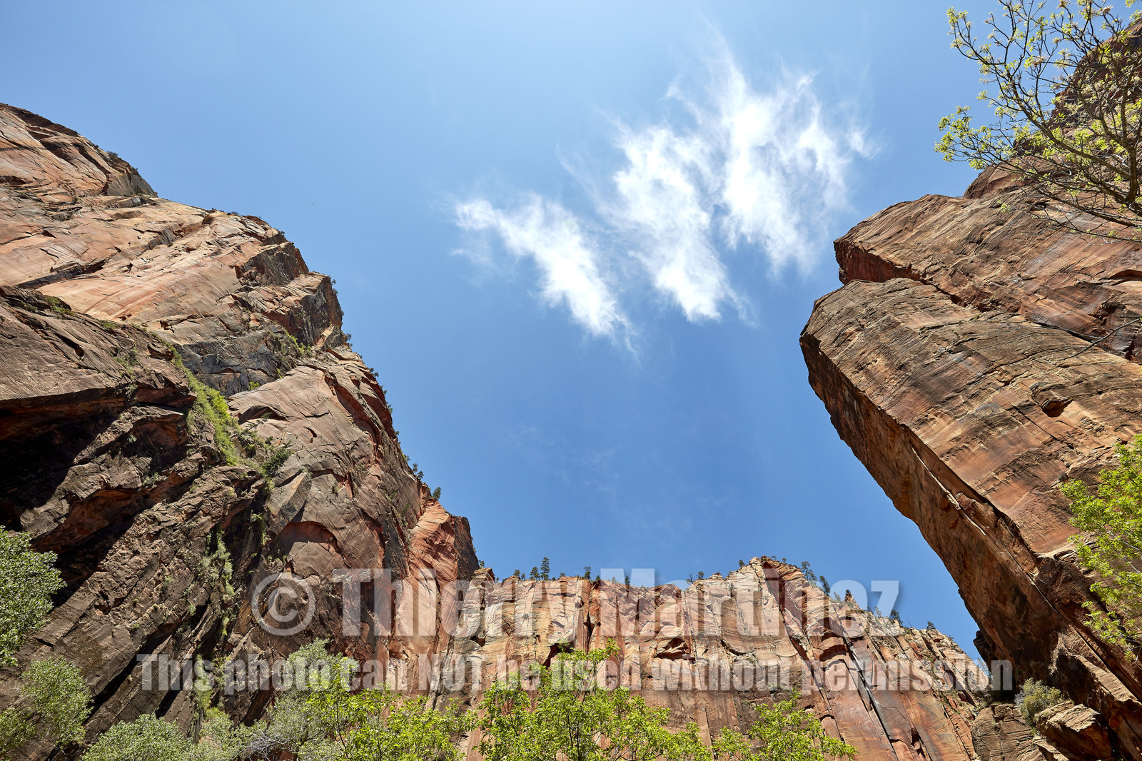THM-18_052276-ZION Canyon