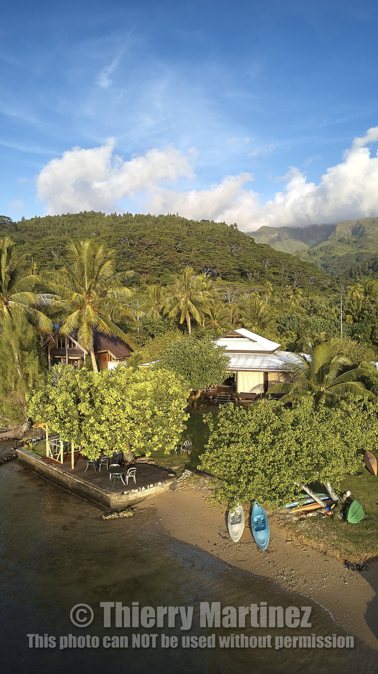 THM-18_038033_TEMEHANI