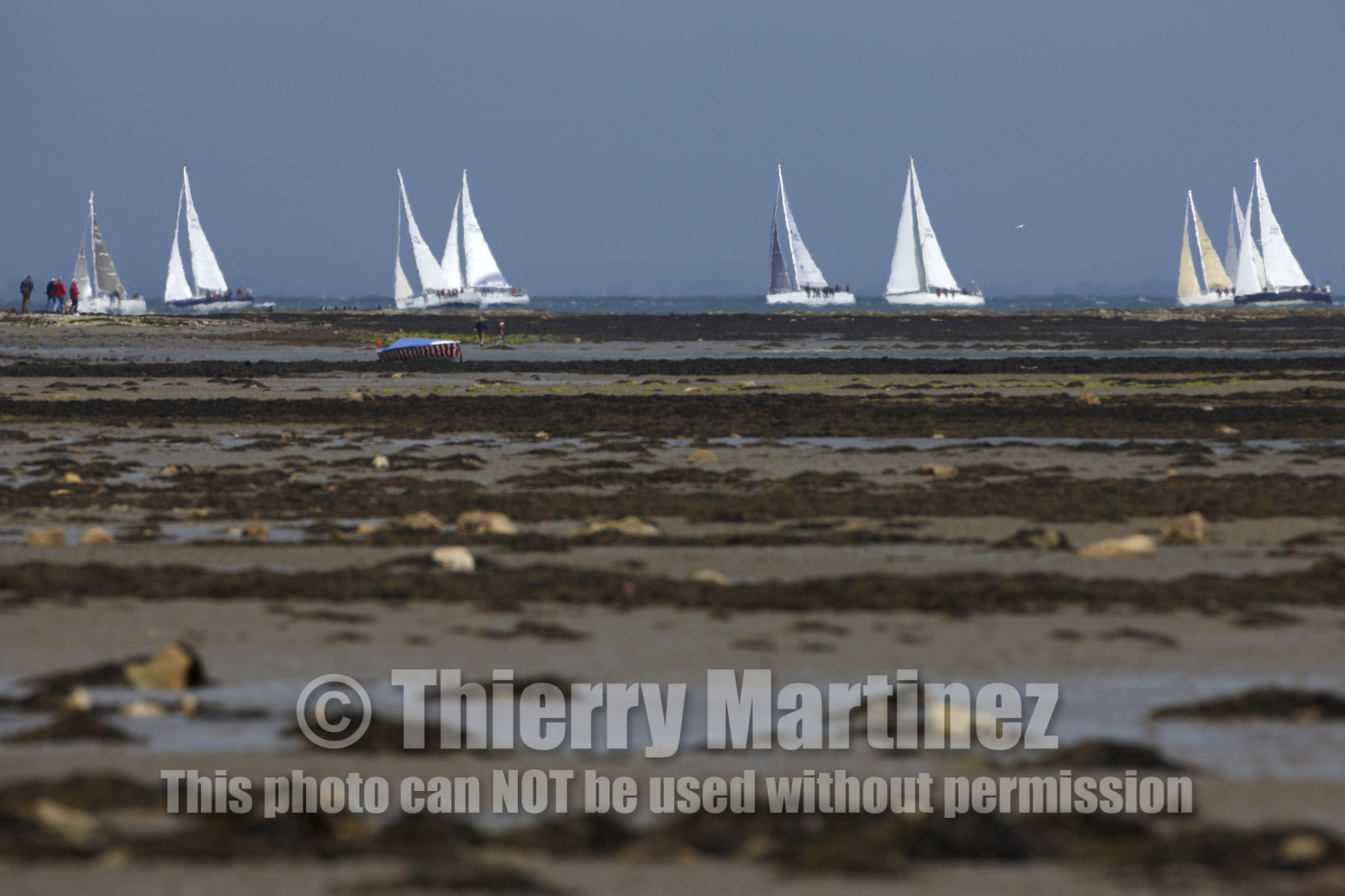 JP Morgan Asset Management Round The Island Race.