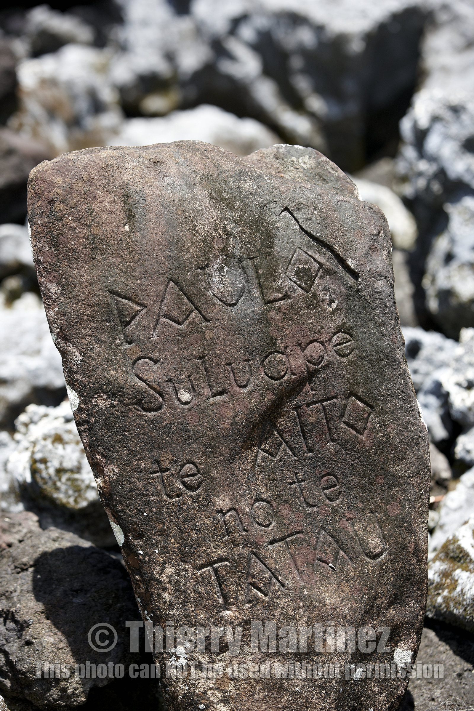 15_023955  ©ThMartinez Sea&Co.  RAIATEA - ILES SOUS LE VENT. POLYNESIE FRANCAISE .  2 Février 2015. ..