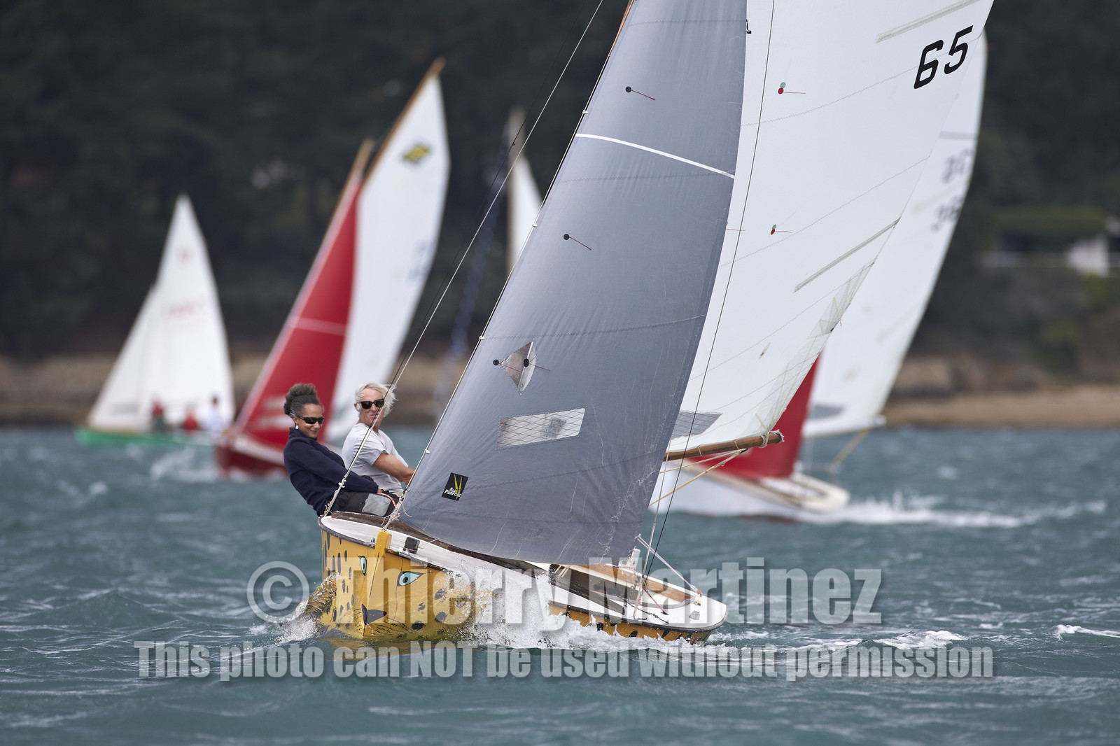 FESTIVAL DE LA VOILE 2014 -Ile aux Moines (Golfe du Morbihan)
