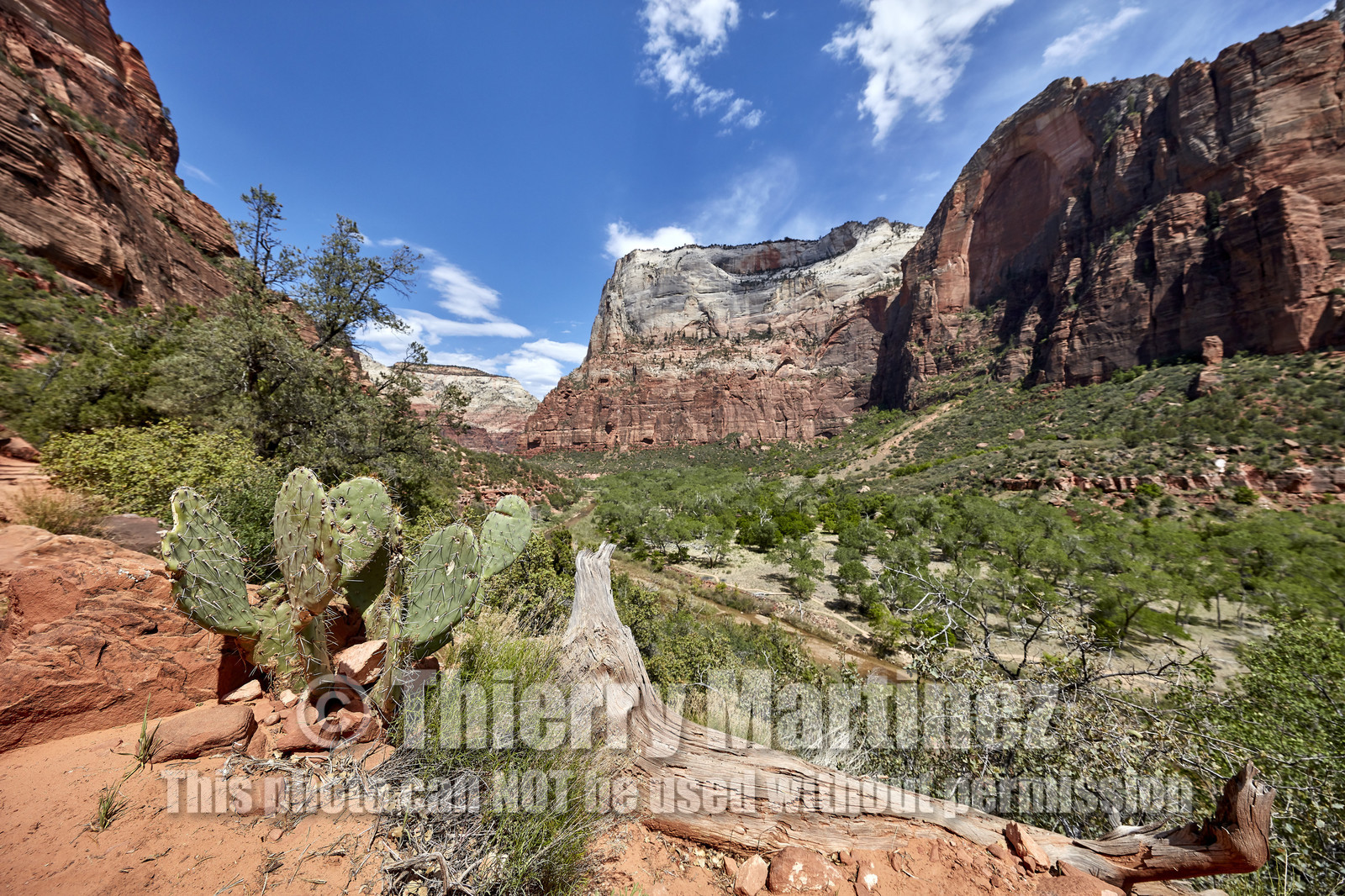THM-18_052686-ZION Canyon