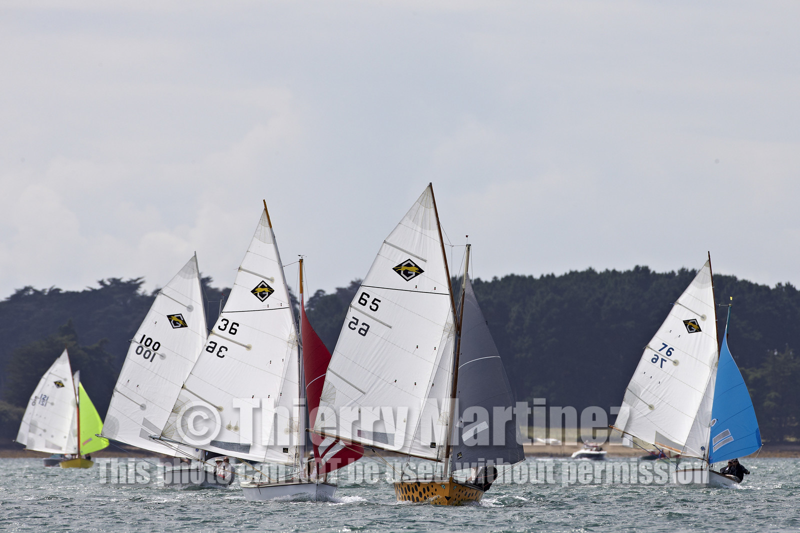 FESTIVAL DE LA VOILE 2014 -Ile aux Moines (Golfe du Morbihan)