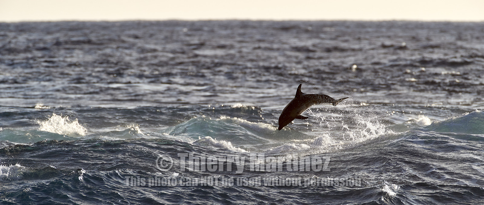 THM-18_039003_RANGIROA