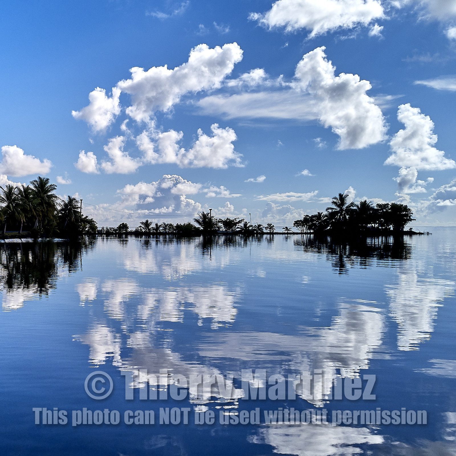 THM-18_037824_RAIATEA