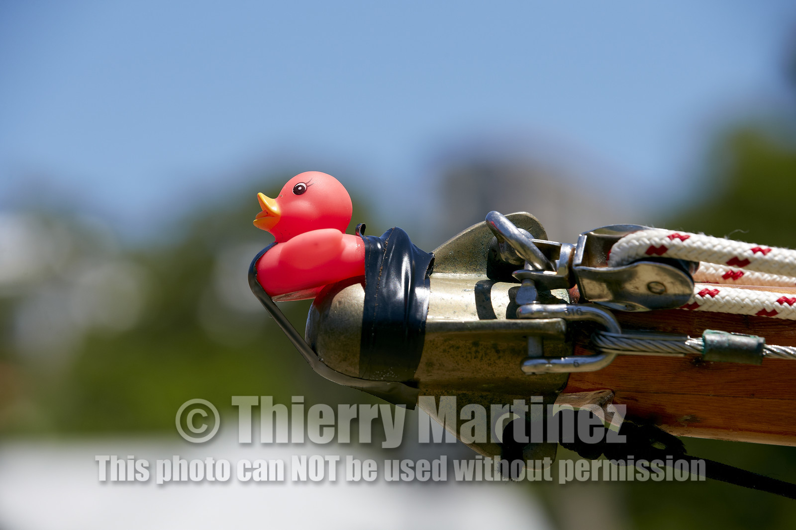HISTORIC 18ft SKIFF AUSTRALIAN CHAMPIONSHIP AUSTRALIAN SYDNEY 2015