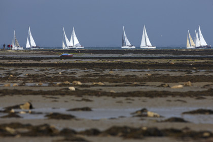 JP Morgan Asset Management Round The Island Race.