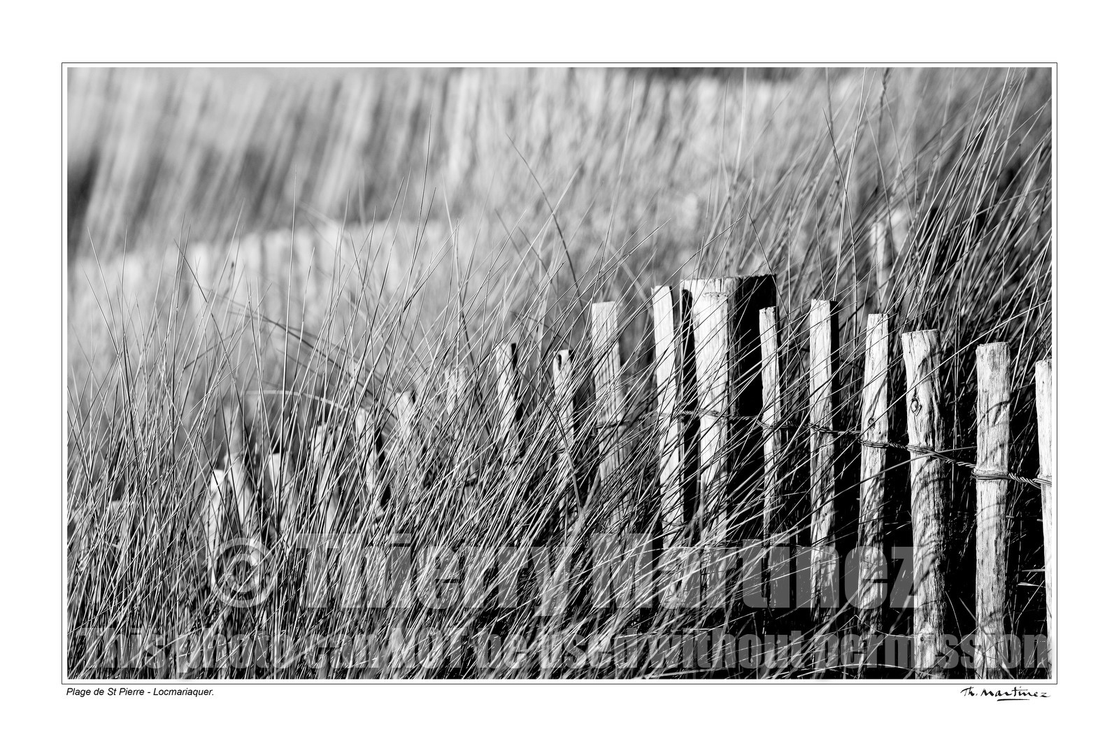 Photo disponible en tirage photo Fine Art,tirage original limités à 30 exemplaires.Chaque tirage est numéroté avec certificat d’authenticité signé.Pour choisir le format et support merci d'utiliser le caddie à coté de la photo.Formats disponibles : Tirage sur papier ( tirage seul) :  30x45 cm   40x60 cm  60x90 cm. Vous pouvez choisir le tirage avec un fond blanc ou noir , à votre convenance. Tirage sur papier contrecollé sur Dibond ( pas de bord blanc ou noir autour de l'image), avec système d'attache au dos:  30x45 cm   40x60 cm  50x75 cm  80x120cm.Tirage sur toile ( Canvas) monté sur chassis bois (pas de bord blanc ou noir autour de l'image), avec système d'attache au dos :  50x75 cm  80x120cm.Expédition ( Dans le monde entier): Colissimo (assurance) avec signature à réception. 48h pour la France métropolitaine.Il est possible de récupérer les tirages à La Galerie du Golfe (sans frais d'expèdition).Conditionnement tirages seuls: tube cylindrique renforcé + boite.