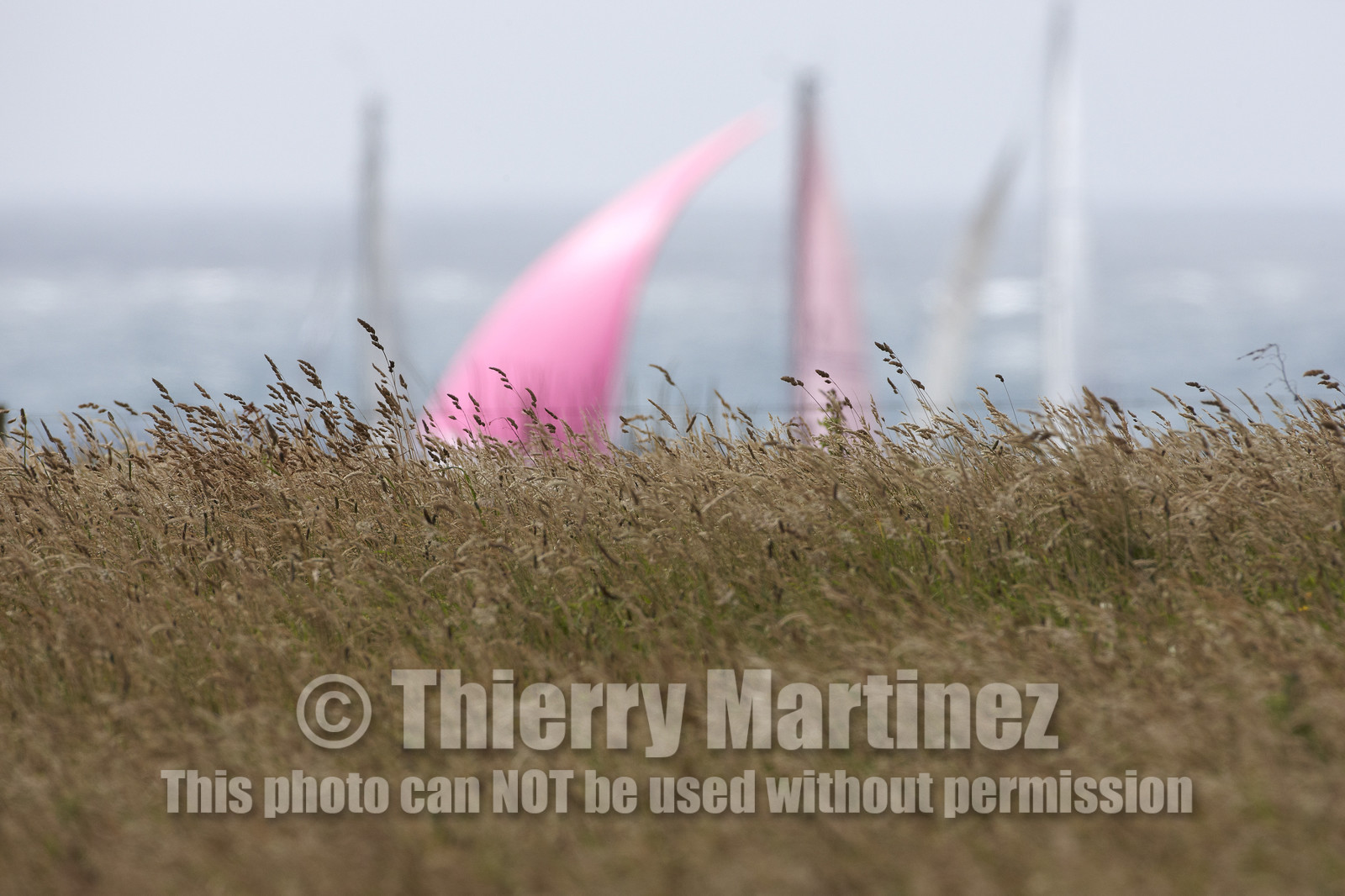 JP Morgan Asset Management Round The Island Race.