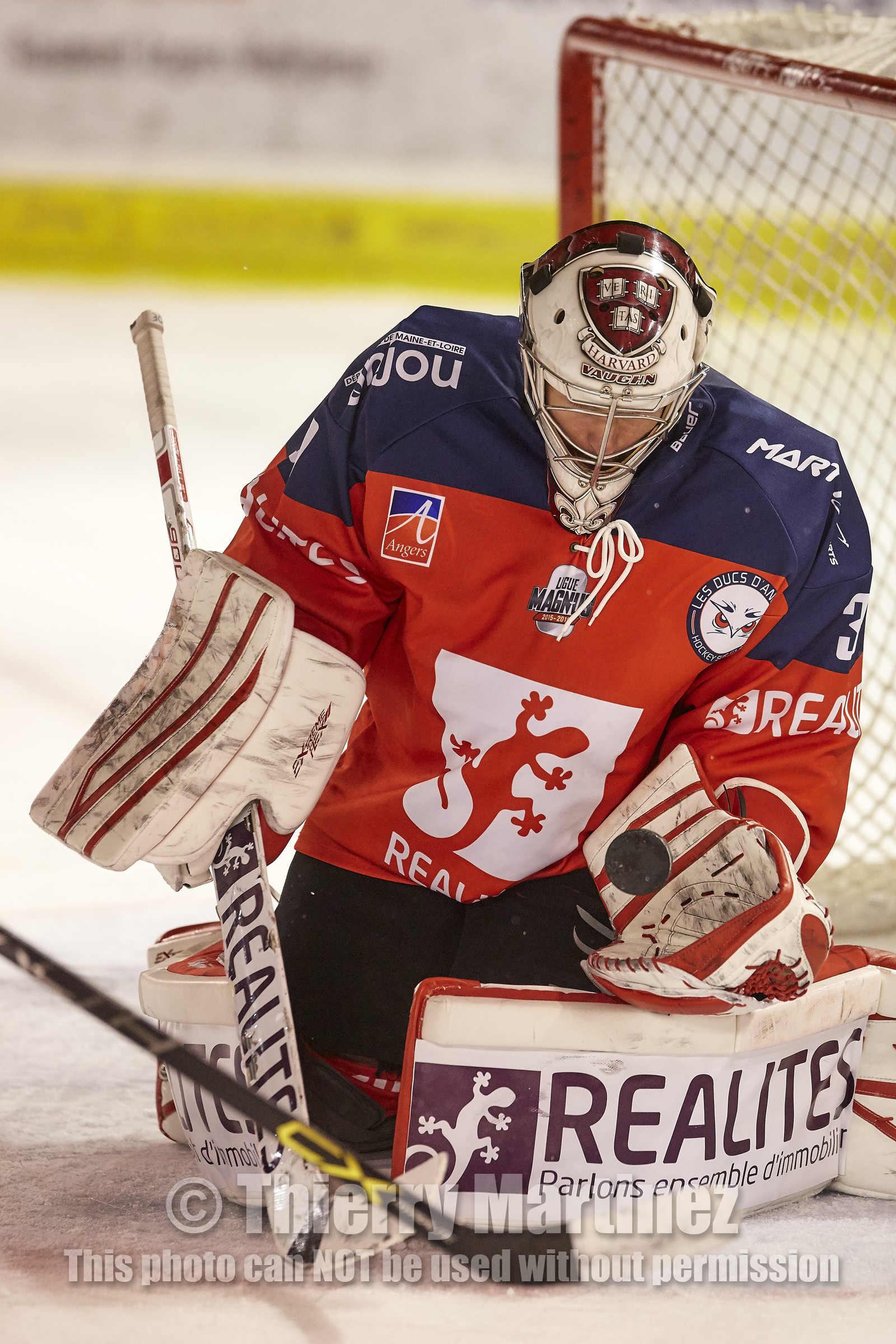 THM_16_01762-HOCKEY
