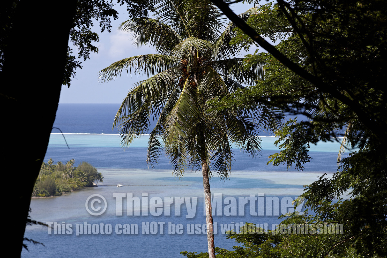 15_024391  ©ThMartinez Sea&Co.  RAIATEA - ILES SOUS LE VENT. POLYNESIE FRANCAISE .  2 Février 2015. ..
