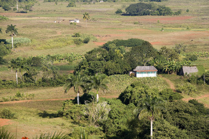 Cuba - Dec 2007.