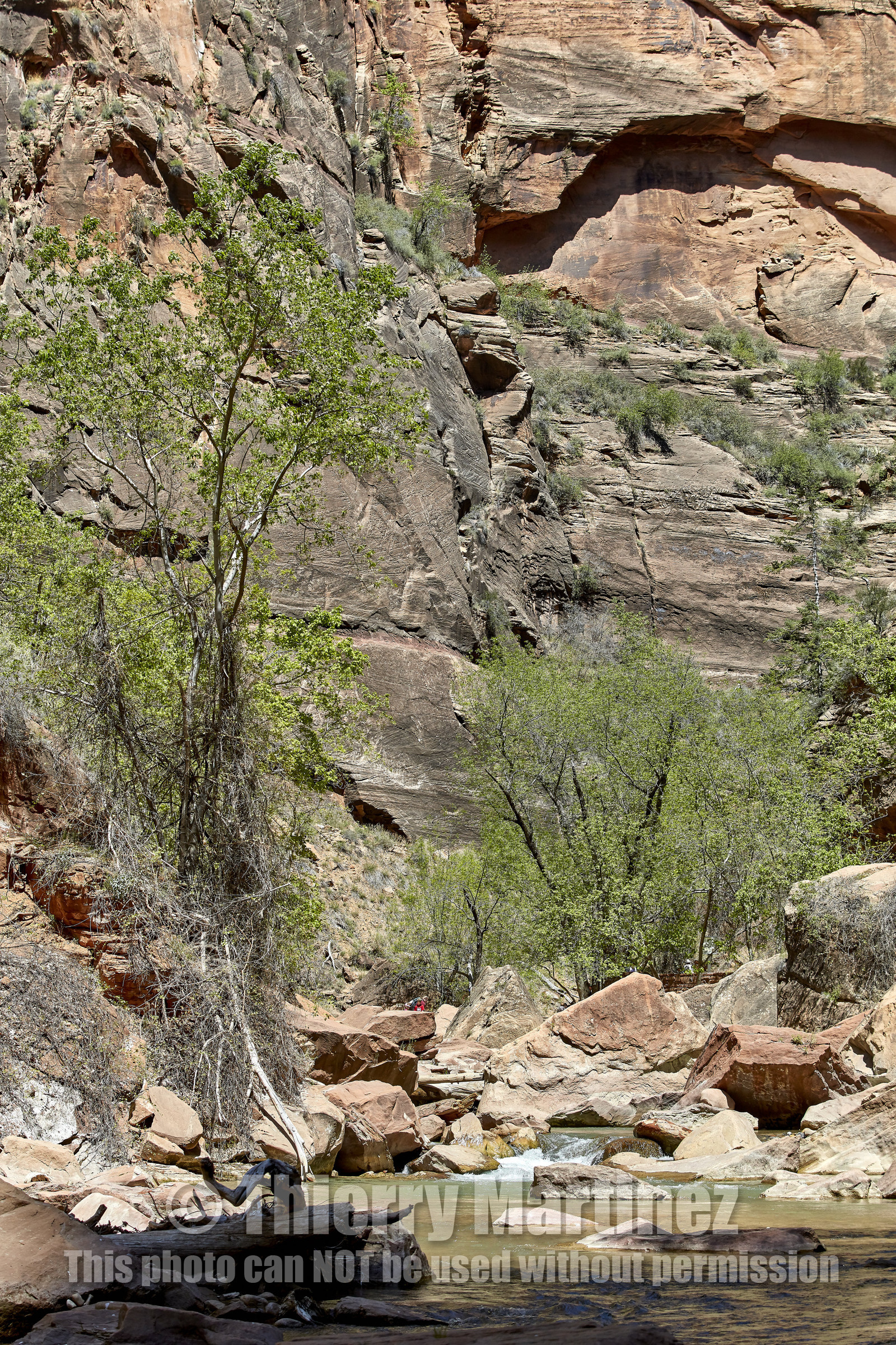 THM-18_052309-ZION Canyon