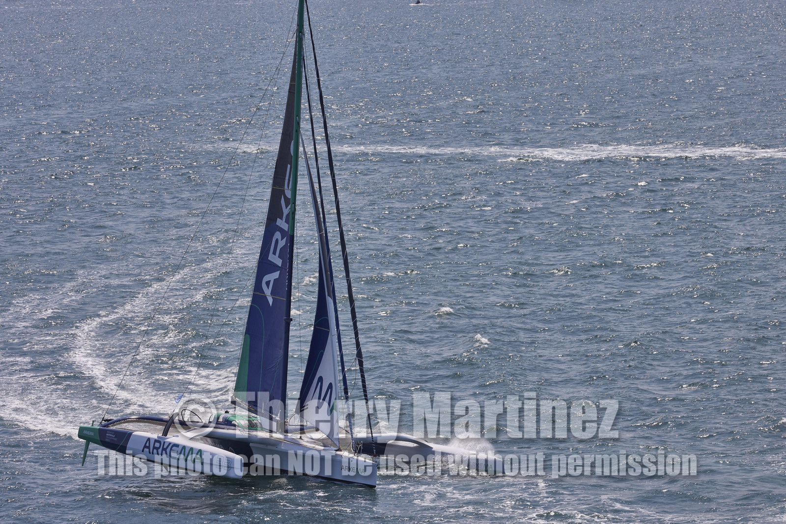 22_26108_DRHEAM CUP
