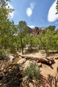 THM-18_052485-ZION Canyon