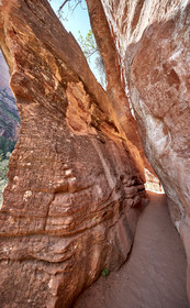 THM-18_052738-ZION Canyon