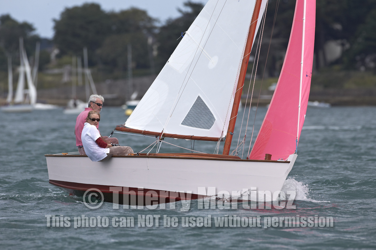 FESTIVAL DE LA VOILE 2014 -Ile aux Moines (Golfe du Morbihan)