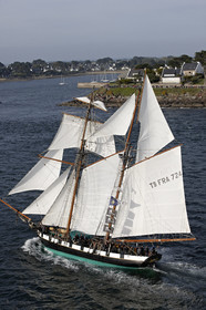 Semaine du Golfe 2015. Parade d'arrivée de la flotte.