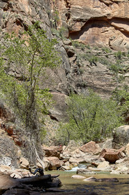 THM-18_052309-ZION Canyon