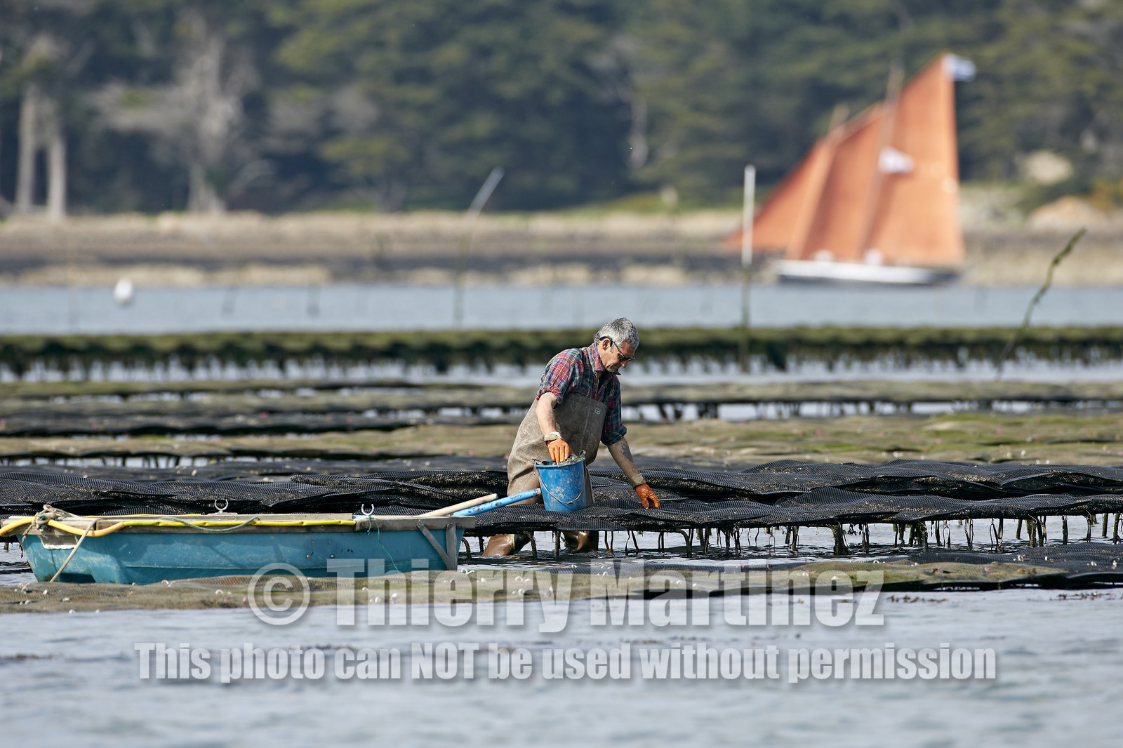 THM-15_46034-SEMAINE du Golfe