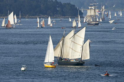 Semaine du Golfe 2015. Parade d'arrivée de la flotte.