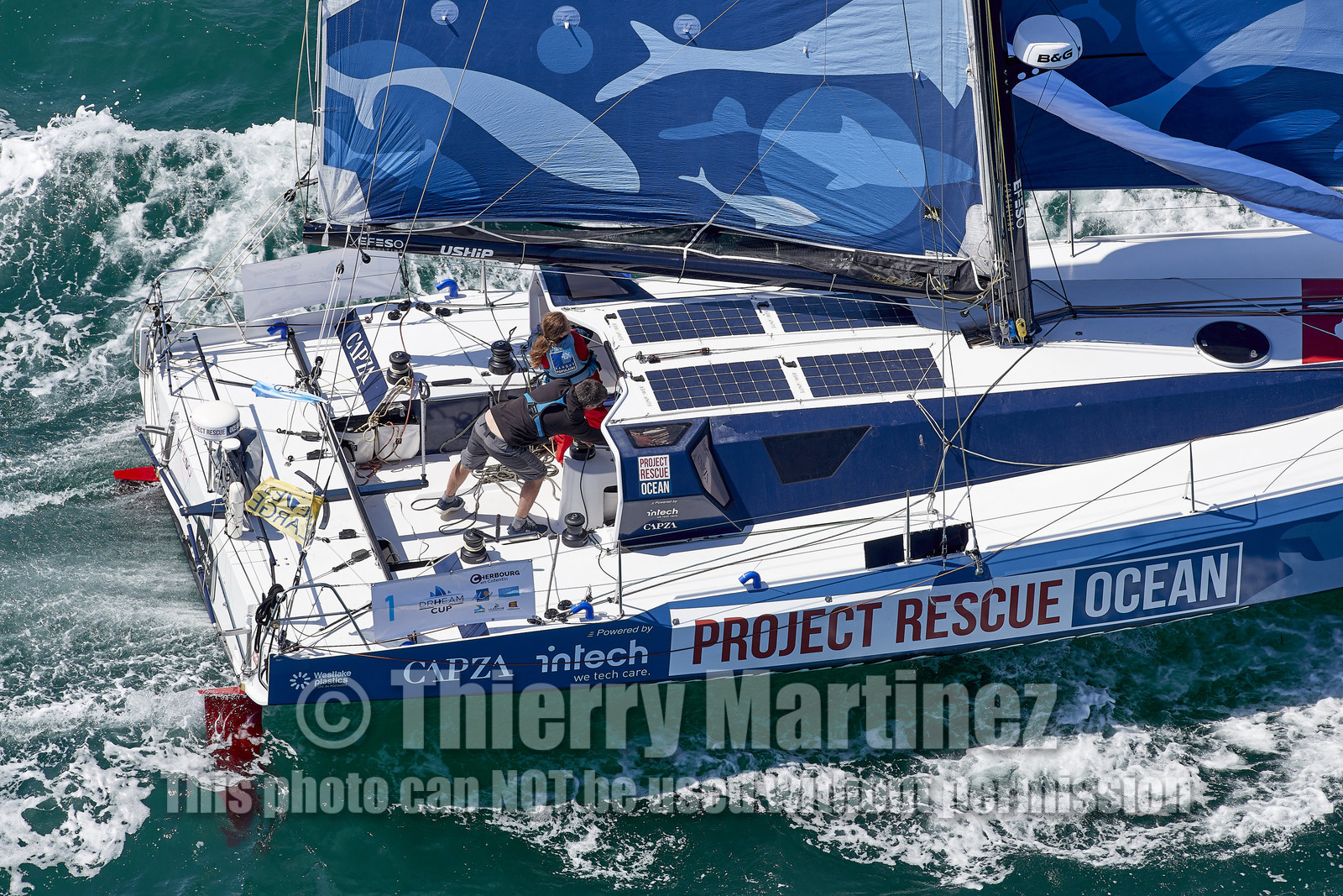 22_24656_DRHEAM CUP