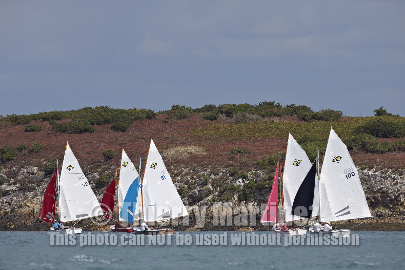 FESTIVAL DE LA VOILE 2014 -Ile aux Moines (Golfe du Morbihan)