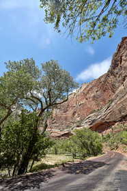 THM-18_052477-ZION Canyon