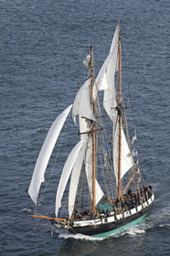Semaine du Golfe 2015. Parade d'arrivée de la flotte.