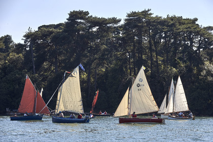 THM-17_011800-Semaine du Golfe