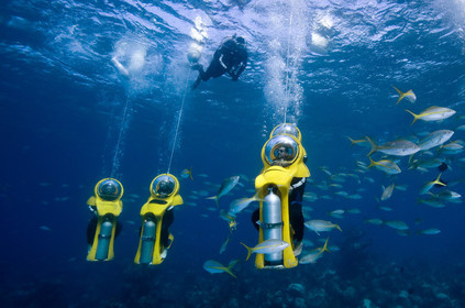 DIVING IN BAHAMAS- JAN 2007