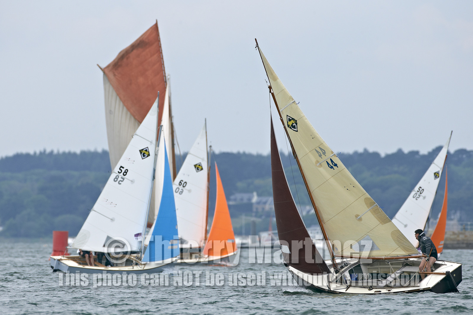 THM-15_46550-SEMAINE du Golfe