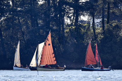 THM-17_011695-Semaine du Golfe