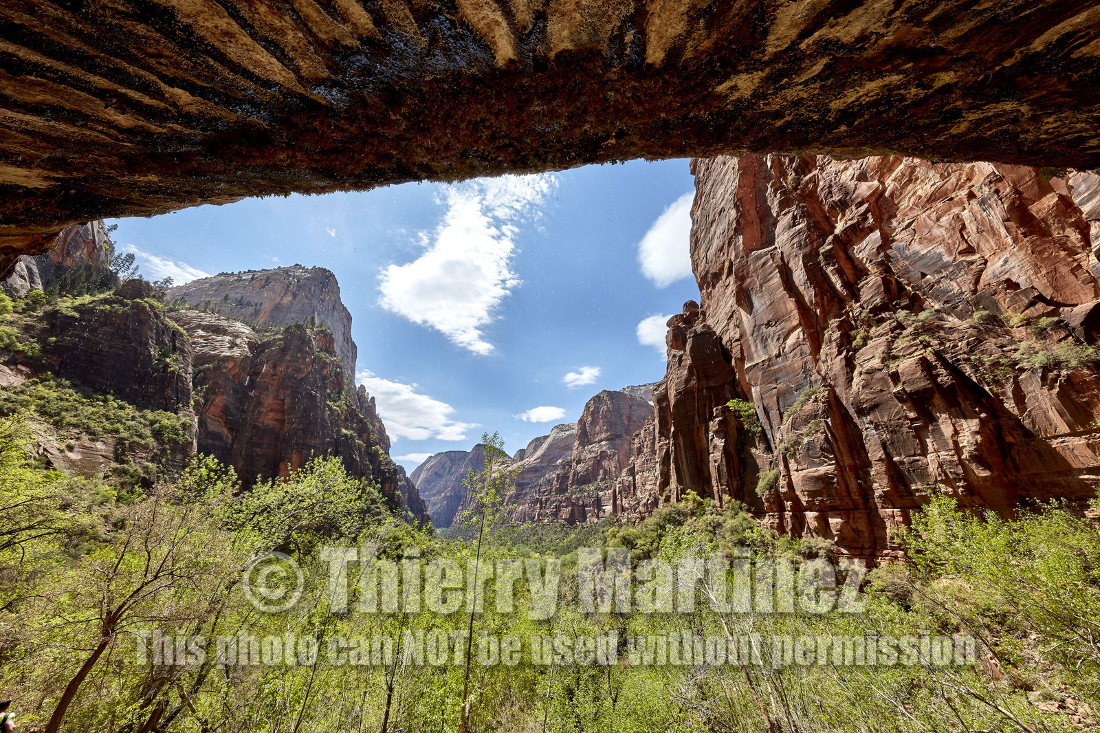 THM-18_052502-ZION Canyon