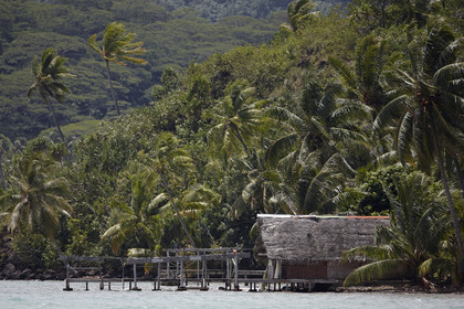 15_023307  ©ThMartinez Sea&Co.  HUAHINE - ILES SOUS LE VENT. POLYNESIE FRANCAISE . 31 January 2015. .