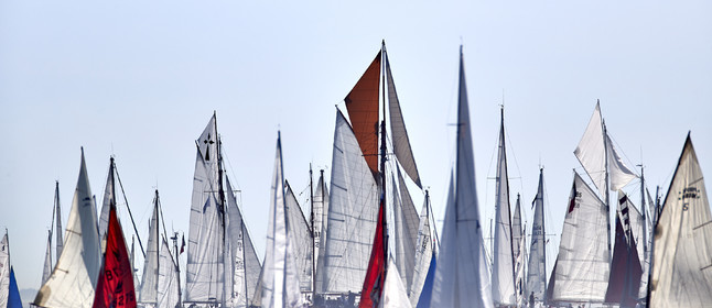 THM-19_17886-SEMAINE du Golfe PARADE