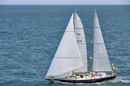 22_26276_DRHEAM CUP