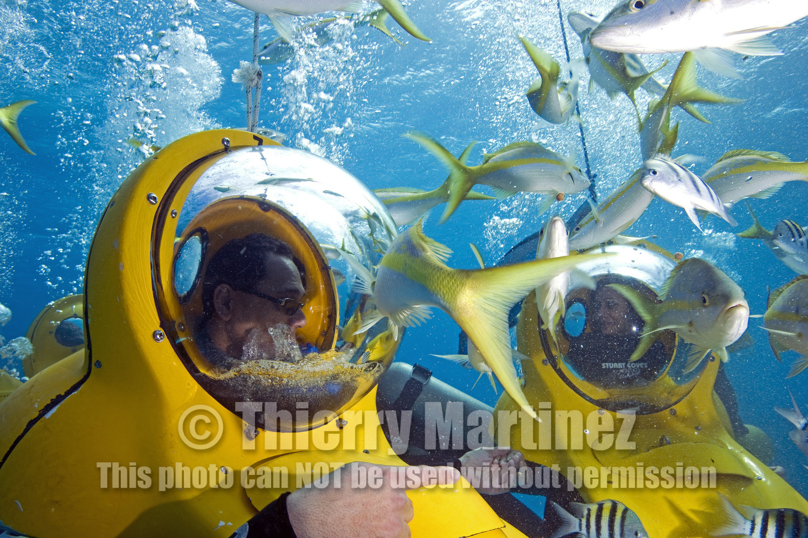 DIVING IN BAHAMAS- JAN 2007
