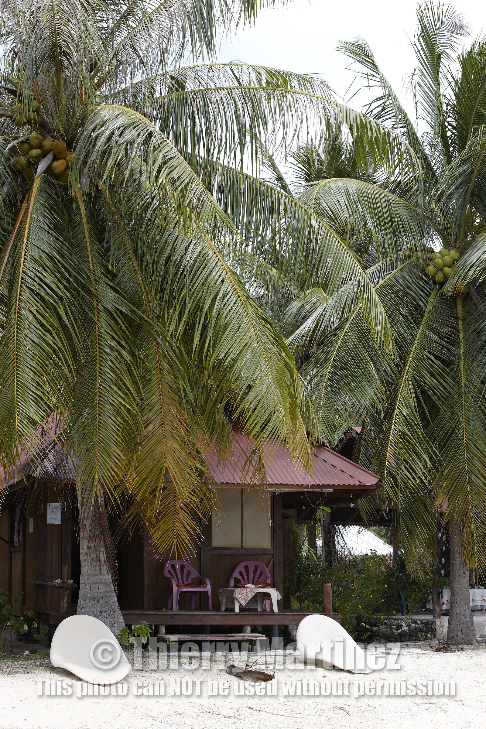15_026963-FAKAREVA