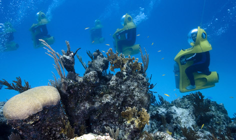 DIVING IN BAHAMAS- JAN 2007