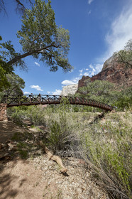 THM-18_052828-ZION Canyon